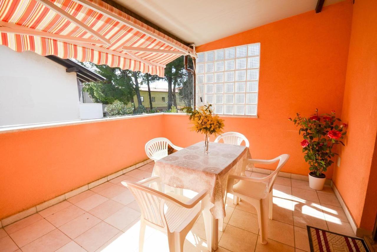 Lili Apartment Novigrad Istria